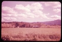 "Farm Scene South of San Jose Spring 1957"