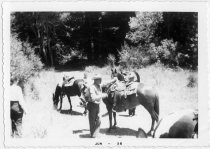 Three people with horses in Woodside