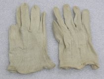 Gloves worn to guard Lincoln's body