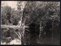 New Almaden dam, 1918