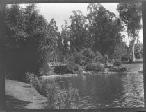 "Eastlake Park, Los Angeles, Sept. 1916"