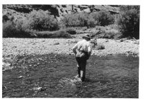 P. M. Weddell wading the Little Truckee