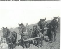 Horse-drawn farm equipment, probably a seeder