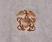 U.S. Navy Officer's insignia pin