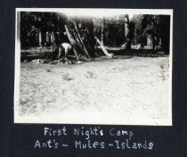 "First Night's Camp: Ant's - Mules - Islands," Hansen camping trip to Yosemite