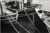 Fishing boats in harbor