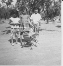 Lydia Sanchez and cousins, 1960