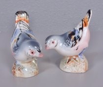 Birds on rocks salt & pepper shakers