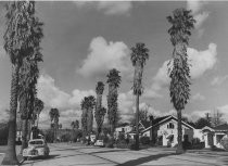 View of Hanchett Park, circa 1945