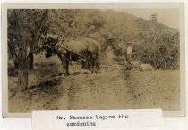 "Mr. Stousse begins the gardening"