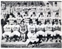 San Jose Bees baseball team, 1966