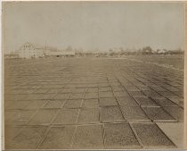 E.E. Thomas Fruit Co., Drying Yard