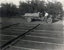 A conventional sun-drying field