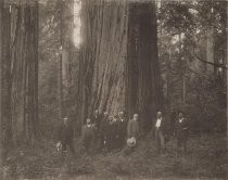 "The Commissioners Prospecting and Investigating for Big Basin Park"