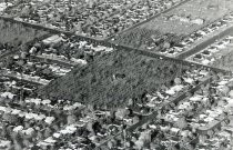 "Curtner Avenue and Cherry Avenue"