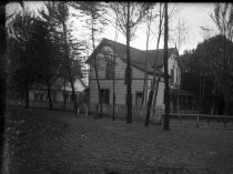 Two residences in trees