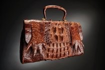 Alligator skin purse