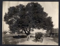 "On the Line of the San Jose and Los Gatos Interurban Road"