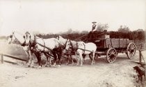 Orchard wagon