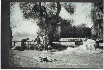 Chinese Workmen Washing Seed, c. 1900