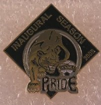 Pin, Lapel