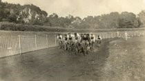 "Golden Gate Park Stadium - Miss and Outrace"