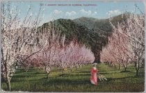 Fruit Packing, San Jose, California. 7111