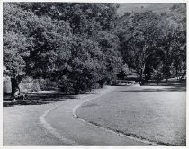 Alum Rock Park