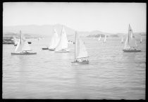 Sailboats in bay