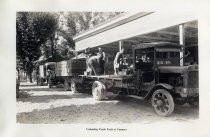 "Unloading Fresh Fruit at Cannery"