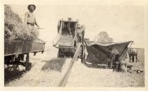 Threshing activity, Evergreen, California