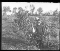 Child posing with citrus plant