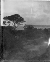 View of house on coast with Monterey cypress, c. 1912