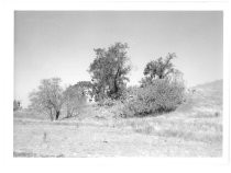 Site of Berryessa Adobe