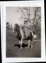 Man on horse