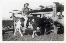 Tony and Elaine Medeiros with cow, Milpitas