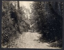 "Mountain Road to the heights, above the line of the San Jose and Los Gatos Interurban R.R."