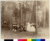 Camping in Big Basin Park
