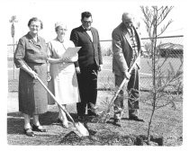 Municipal Rose Garden tree planting