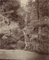 "Falls near Mount Hermon, Felton, Santa Cruz Mnts."