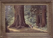 California Redwood Park, 1915