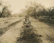 Tractor in orchard with Knapp ditcher attachment