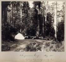 Sempervirens Camp, May 1900