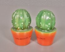 Cacti salt & pepper shakers