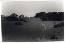 Horseback riders in foothills near 800 Westridge Drive, Menlo Park, California