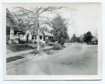 Tree-lined street