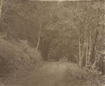 Dirt road through forest