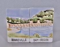 Bonneville Dam salt & pepper shakers