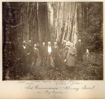 "Park Commissioners & Advisory Board in Big Basin"