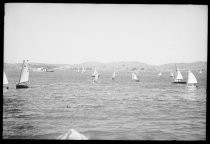 Sailing regatta